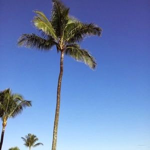 Meet your Posher, Luke